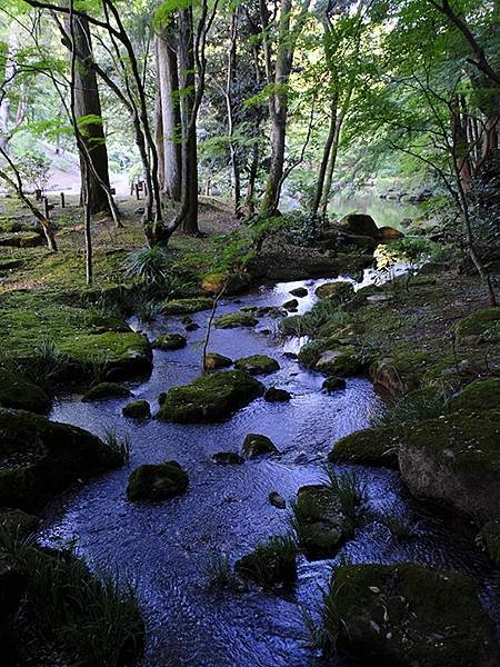 東京近郊(二十五)‧成田山新勝寺(Narita)