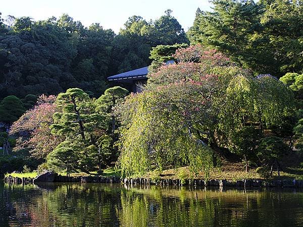 東京近郊(二十五)‧成田山新勝寺(Narita)