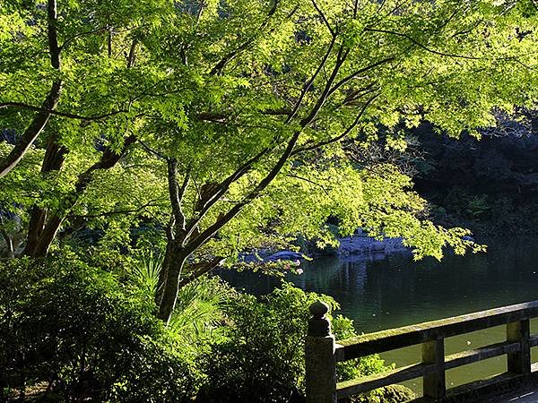 東京近郊(二十五)‧成田山新勝寺(Narita)