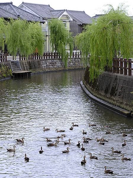 東京近郊(二十六)‧佐原(Sawara)