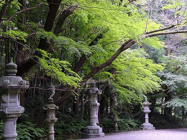 東京近郊(二十六)‧佐原(Sawara)