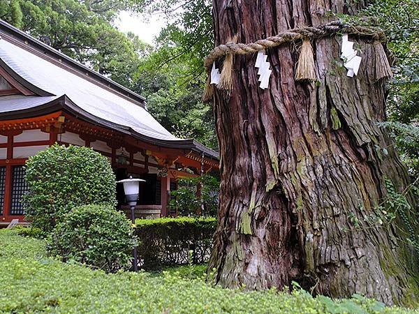 東京近郊(二十六)‧佐原(Sawara)