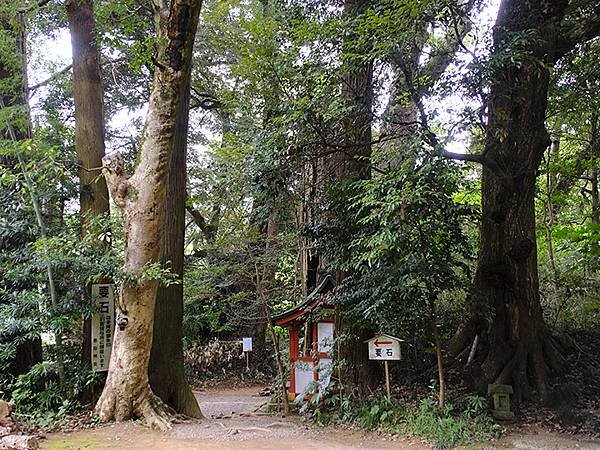 東京近郊(二十六)‧佐原(Sawara)