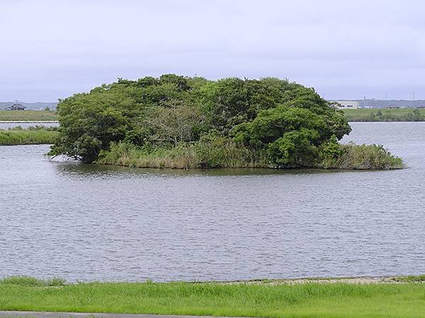 東京近郊(二十六)‧佐原(Sawara)