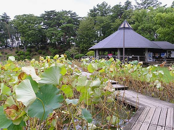 東京近郊(二十七)‧千葉市(Chiba)