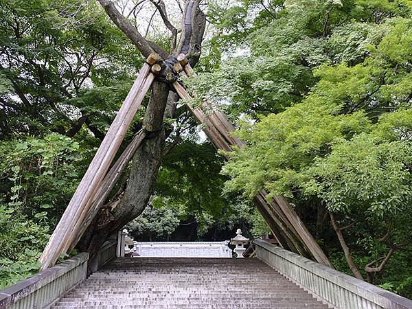 東京近郊(三十三)‧宇都宮(Utsunomiya)