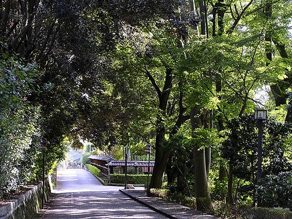 東京近郊(三十五)‧古河(Koga)