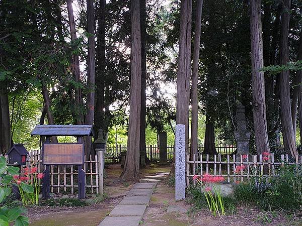 東京近郊(三十五)‧古河(Koga)