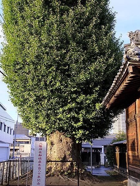 東京近郊(三十五)‧古河(Koga)