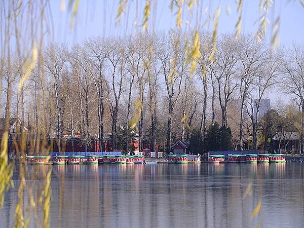 冬遊北京(十二)‧北海、陶然亭、紫竹院公園(Stroll i