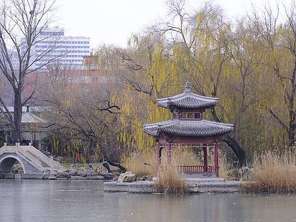 冬遊北京(十二)‧北海、陶然亭、紫竹院公園(Stroll i