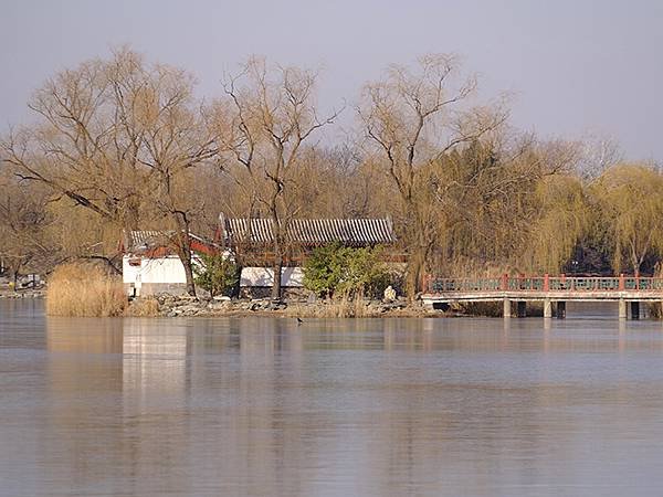 冬遊北京(十四)‧圓明園的冰、蘆葦、野鳥(Yuanmingy