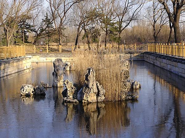 冬遊北京(十四)‧圓明園的冰、蘆葦、野鳥(Yuanmingy