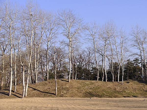 冬遊北京(十四)‧圓明園的冰、蘆葦、野鳥(Yuanmingy