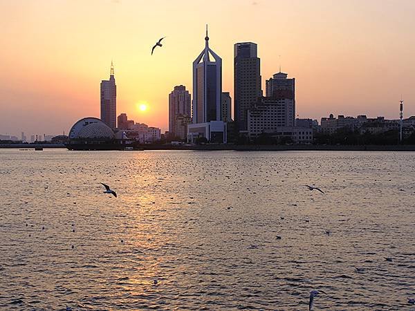 山東‧青島(四)‧棧橋、海鷗(Qingdao IV)