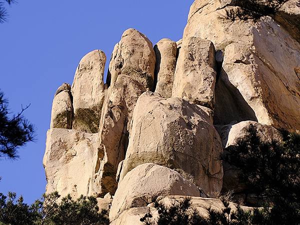 山東‧青島(九)‧嶗山(下)‧仰口景區(Laoshan II