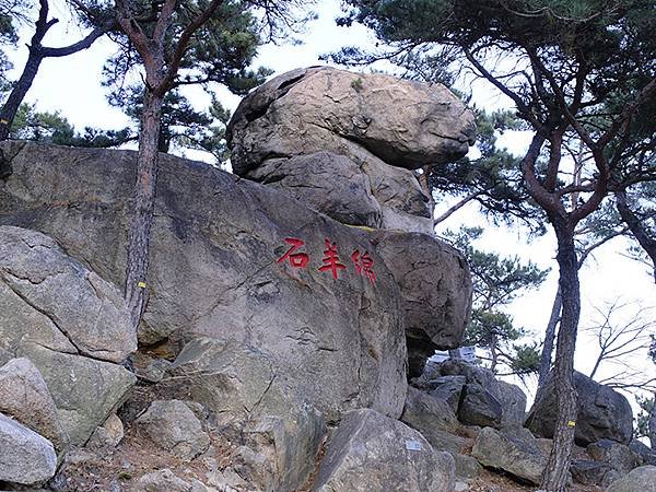 山東‧青島(九)‧嶗山(下)‧仰口景區(Laoshan II