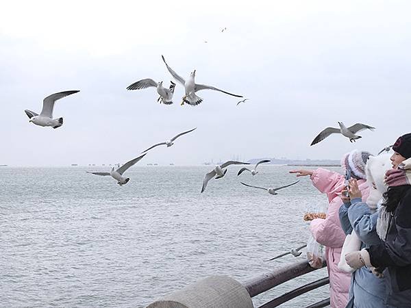 山東‧威海(下)‧海岸(Weihai Ii)