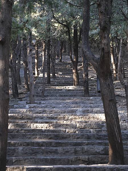 山東‧青州(四)‧雲門山(Qingzhou IV)