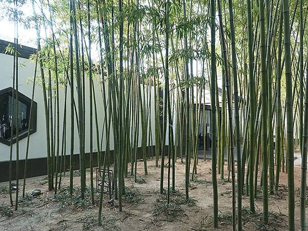 中國‧蘇州‧蘇州博物館(Suzhou Museum)