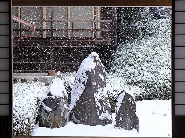 關西賞雪(九)‧伏見稻荷、光明院(Kansai Snow I