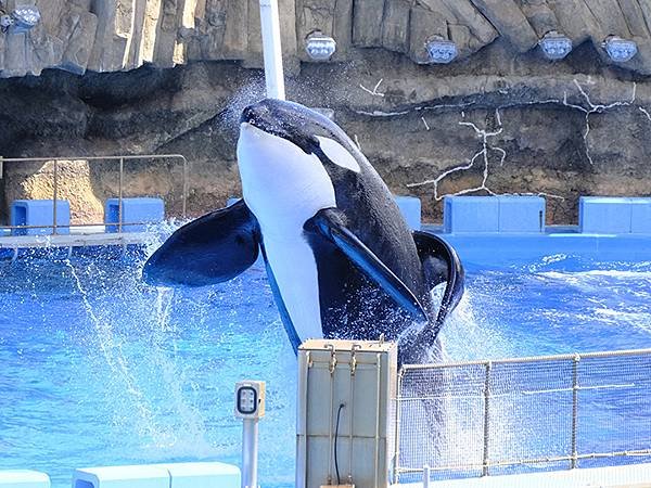 日本‧名古屋(二十)‧水族館(Nagoya XX)