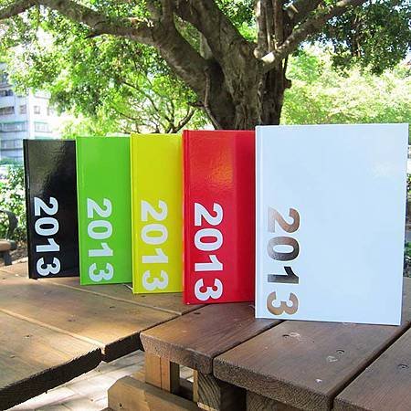 2013玩色