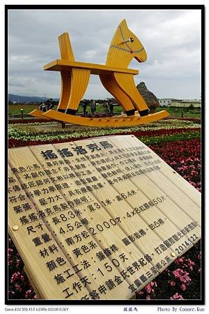搖搖洛克馬