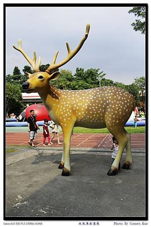紙風車創意展