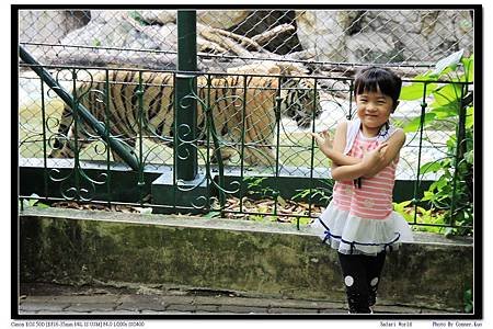 Safari World