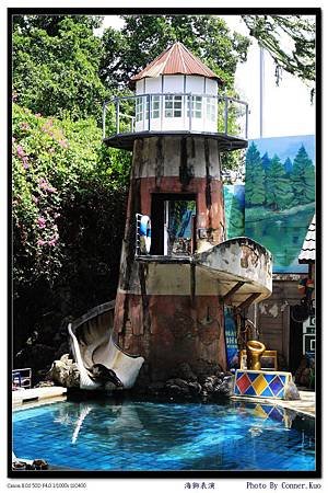 海獅表演