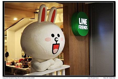 Line Friend Store