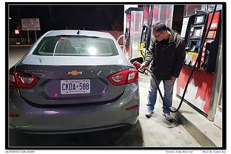 Toronto Alamo Rent Car