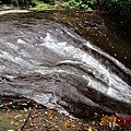 DSC00547.JPG