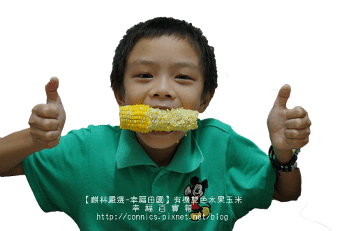DSC02702.png