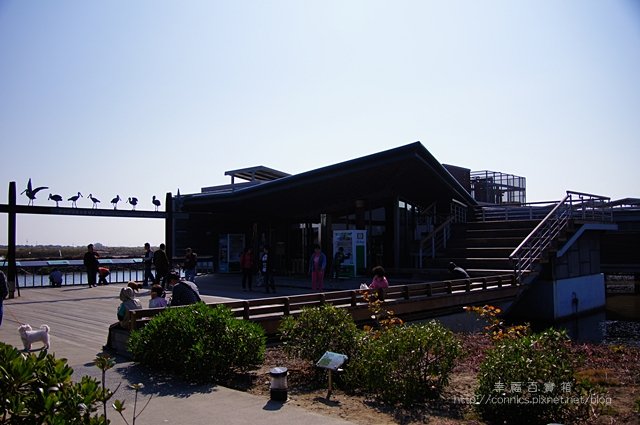 DSC08711.JPG