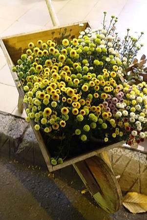 DSC00569.jpg