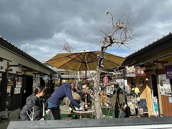 【京都】嵐山一日遊 必遊景點漫步散策＆必吃美食推薦