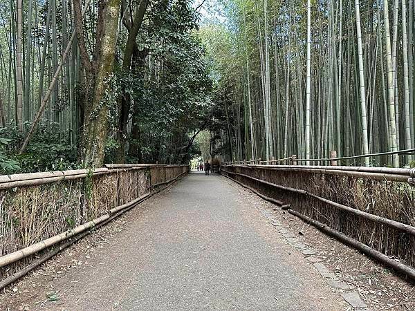 【京都】嵐山一日遊 必遊景點漫步散策＆必吃美食推薦