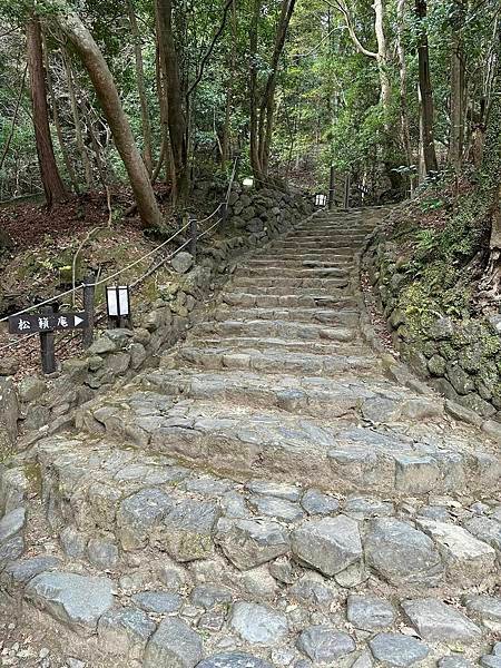 【京都】嵐山一日遊 必遊景點漫步散策＆必吃美食推薦