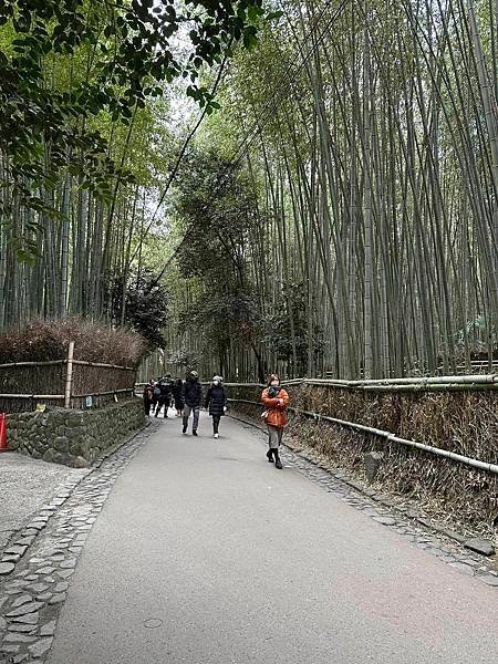 【京都】嵐山一日遊 必遊景點漫步散策＆必吃美食推薦