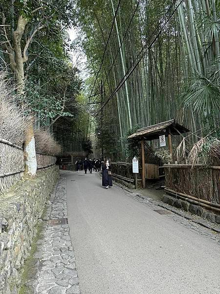 【京都】嵐山一日遊 必遊景點漫步散策＆必吃美食推薦