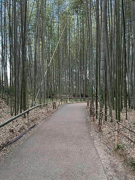 【京都】嵐山一日遊 必遊景點漫步散策＆必吃美食推薦