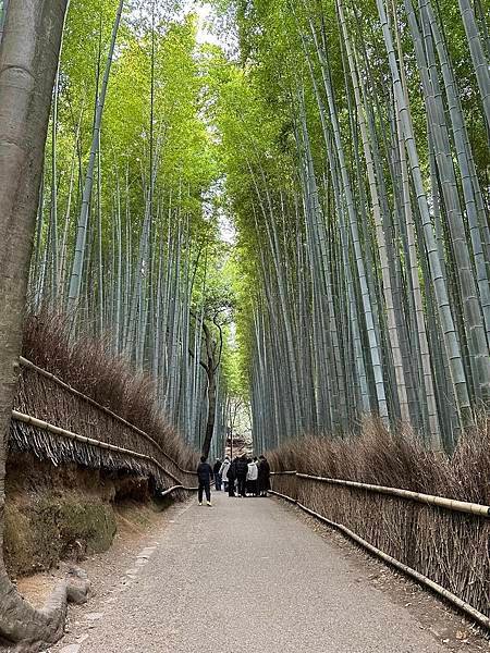 【京都】嵐山一日遊 必遊景點漫步散策＆必吃美食推薦