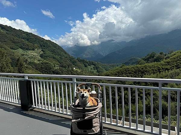 【南投】Mountain Bica Cafe群山環繞視野開闊