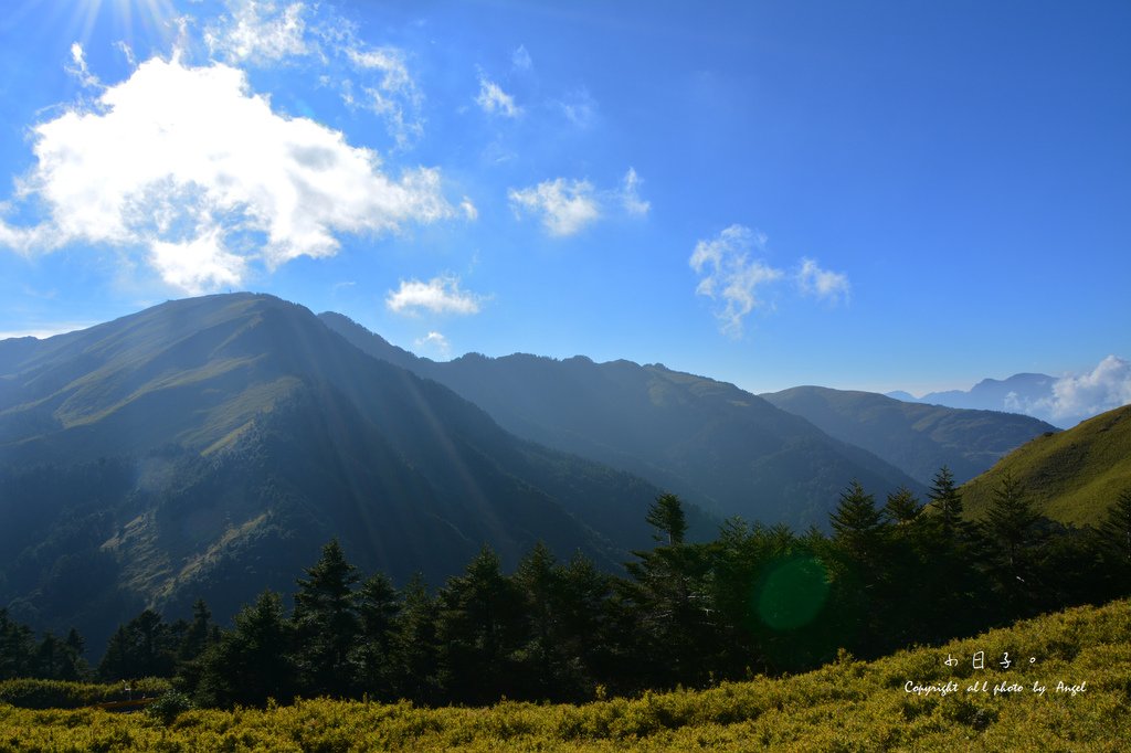DSC_5173.JPG