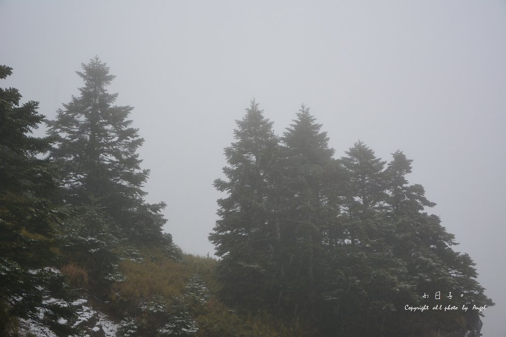 DSC_5308.JPG
