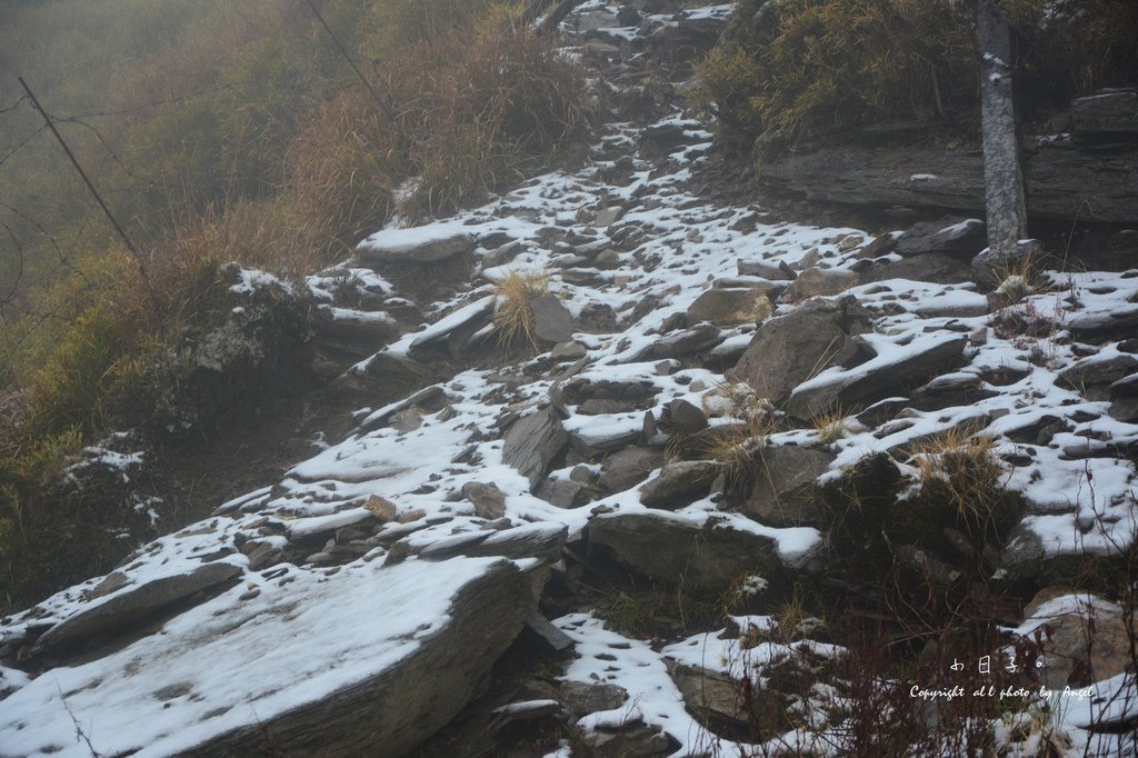 DSC_5322.JPG