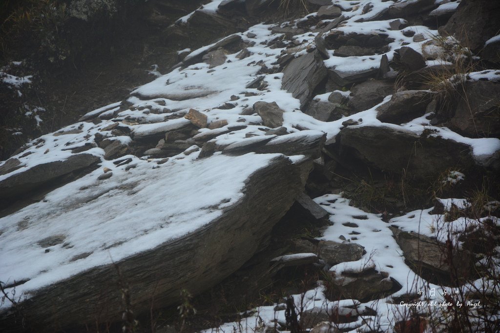 DSC_5323.JPG