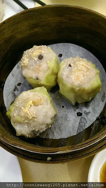 IMAG0194.jpg